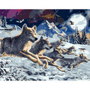 Painting By Numbers Kit DIY Snow Wolf Hand Painted Canvas Oil Art Picture A