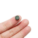 Fish Food Spirulina Catfish Tropical Veggie Algae Wafers biomass J9E4 shrim Z6N2