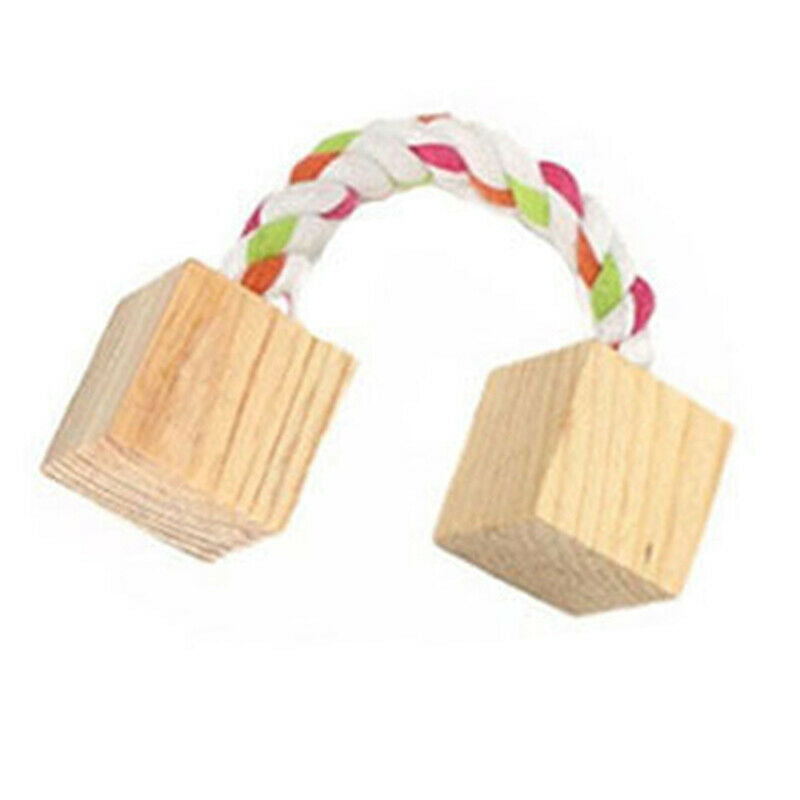 10 Pcs Set Hamster Chew Toys Natural Wooden Gerbils Rats Chinchillas Toys A