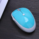 Mini Wireless 2.4GHz Mouse for Notebook PC with Privacy Protection Key