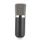 BM-700 Desk-mounted Studio Broadcasting Record Condenser Microphone (Black)