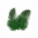 50 pcs Feather of cock Applique Sewing Decor Garment Hat DIY Jewelry 5-10 c P5O2