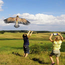 Huge 1.1m Eagle Kite single line Novelty animal Kites Children's Outdoor toys