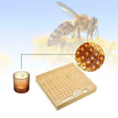 131pcs Bee Queen Rearing Cupkit Box System Beekeeping Tool Cell Cup Cage Ki X3M2