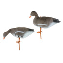 2x Outdoor Realistic Foaming Goose Hunting Decoy Turkey  Decoys