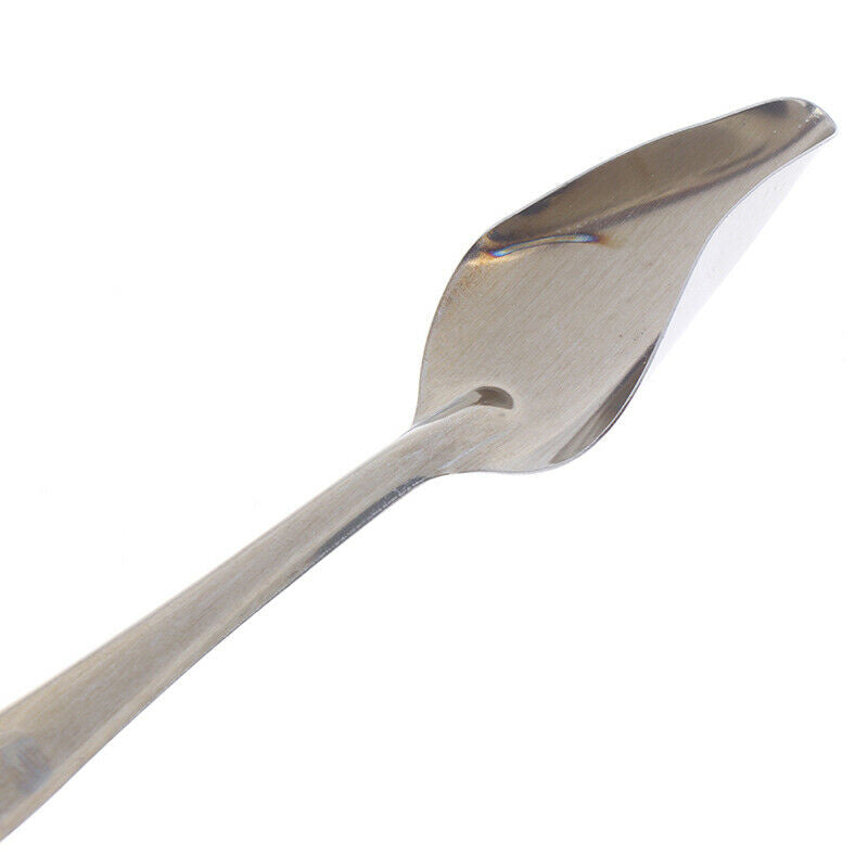 Bird Feeders Spoon Parrot's Milk Spoons Pets Supplies Water Feeding Tools3C