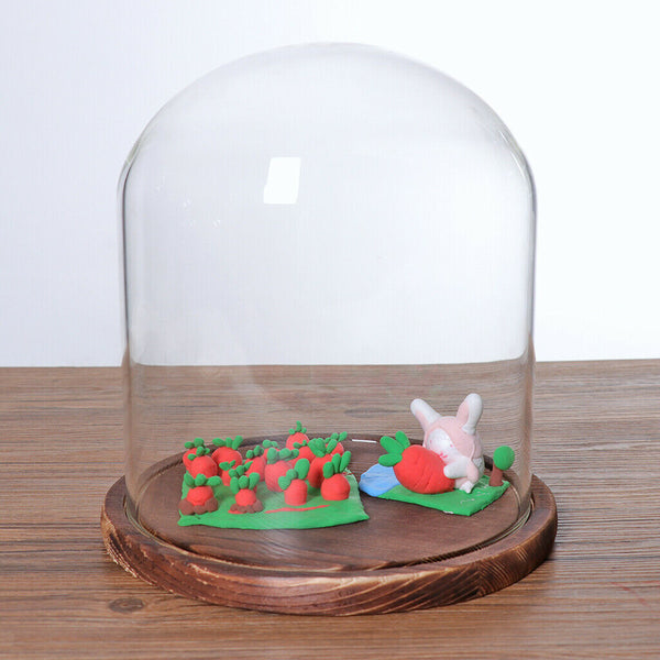 Decorative Glass Cloche Bell Jar Dome with Wooden Base Display Decor_Black F