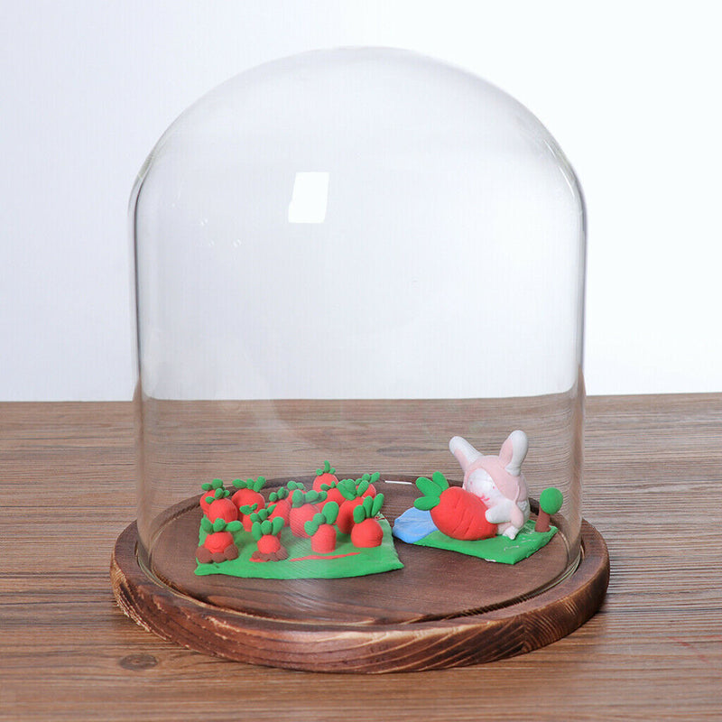 Decorative Glass Cloche Bell Jar Dome with Wooden Base Display Decor_Black F