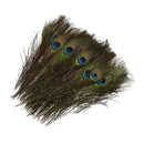 Pack of 50pc Natural Peacock Feathers 10-12''