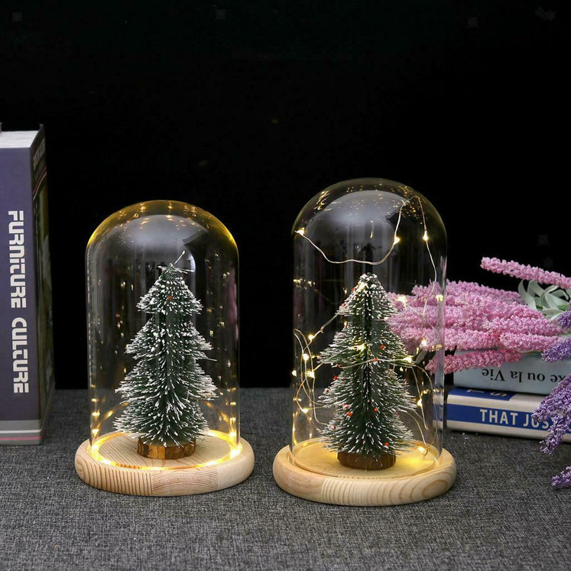 Battery Operated LED Glass Cloche Bedside Table Lamp Fairy Lights Crafts B