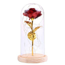 20LED Night Lights Rose Glass Dome Copper Wire String Lights (Dark Red)