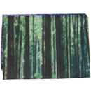 Forest Tapestry Floral Decor, Bluebells in Woods Landscape and Flowers Rura H6J2