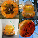 2pcs Wasp Trap Beehive Catcher Repellent Hanging Plastic Bottle Wasp Traps