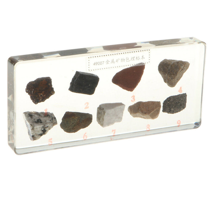 Real Rock And Mineral Geology Science Specimen Paperweight Collectible Gift