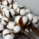 6 Pack 27 Inch Cotton Stems Farmhouse Decor Rustic Style Vase Filler Floral Z4V4