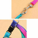 Small Pet Dog Puppy Cat Kitten Harness for Walking Lead Leash Collar Adju D C0V3