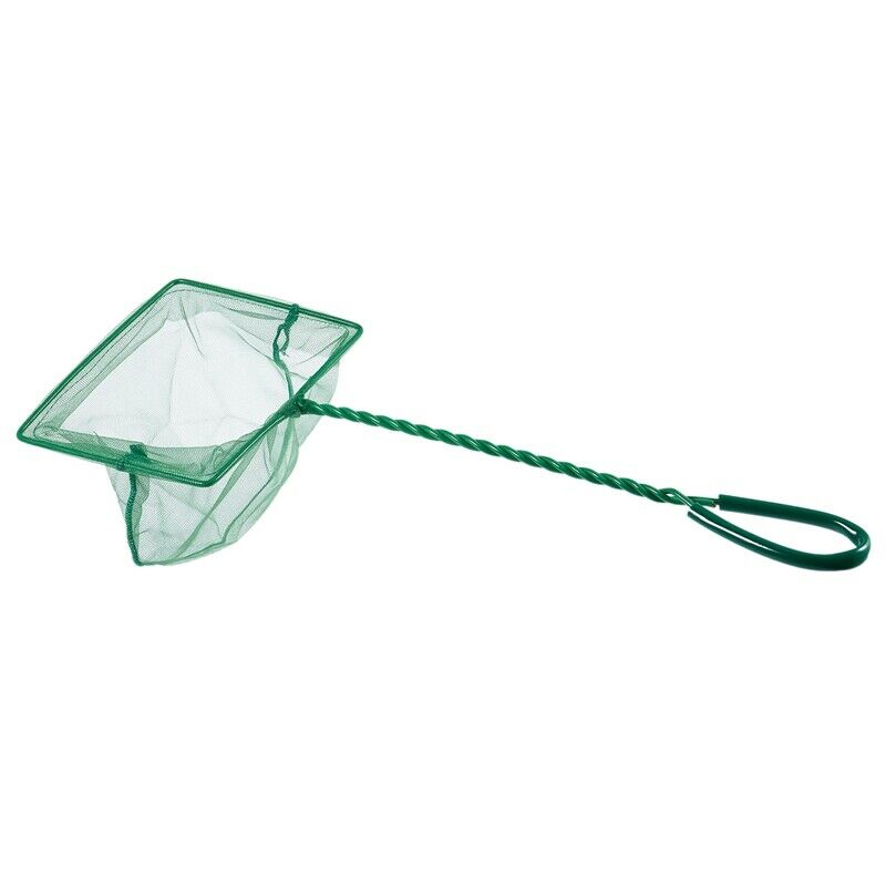 Nylon Aquarium Fish Shrimp Net Meshy, 6-inch, Green