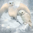 5D DIY Full Drill Diamond Painting Bird Animal Cross Stitch Embroidery Kits