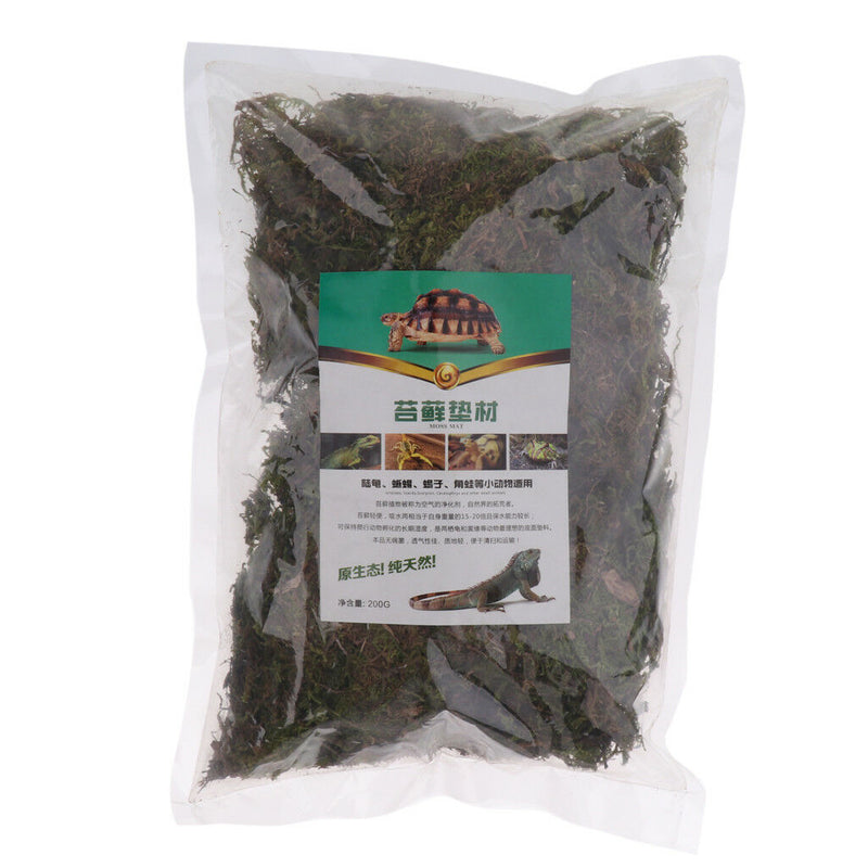 Reptile Supplies Natural Green Moss Controls Tropical and Wetland Humidity