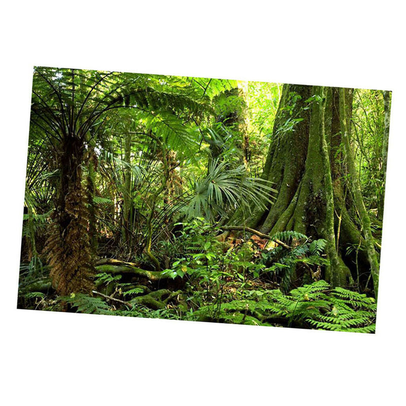 Aquarium   Tank Background Poster Rainforest Landscape Decor 60x100cm