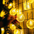 Star 20 LED 10.3 ft Lemon String Lights Battery Operated for Indoor Wedding