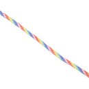 Parachute Cord with 7 strands, 550 lbs, 100 ft.Rainbow