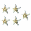 5pcs/lots crafts white bread sea shell starfish, fashion home decorative ha