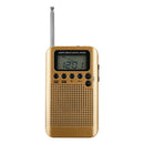 Mini Lcd Digital FM/AM Radio Speaker With Alarm Clock And Time Display Func