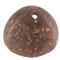 Natural Hut -  Non-toxic, Coconut Reptile Hideouts, Lizard, Spider Aquarium Fish