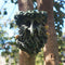 Forest GreenMan Tree Face Leaf Plaque Wall Garden Tree  Outdoor Garden Ornament