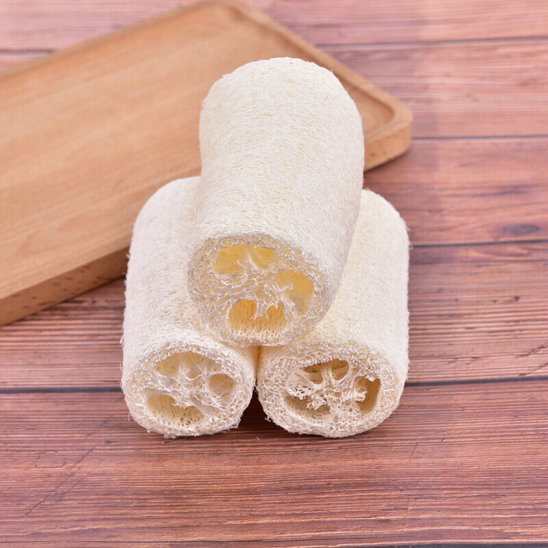 6 Pcs Organic Loofahs Loofah Spa Exfoliating Scrubber Natural LuffaFRB Bj