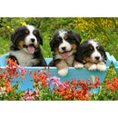 Dog Animal 5D DIY Diamond Painting Full Round Drill Wall Picture (HY035)