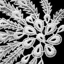 Feather Peacock Tail Shape Embroidery Venise Lace Trim Sewing Decor DIY Supply