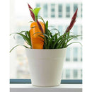 Automatic Watering Device, Carrot Design, Plant Waterer, Slow Release Drip, Self