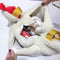 Women Crossbody Bag Cartoon Chicken Pattern Shoulder Bags Casual Accessories