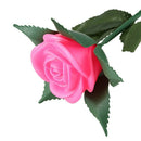 Rose Romantic Outdoor Yard Garden Path Way Tulip Bar Landscape Flower Night R2U5