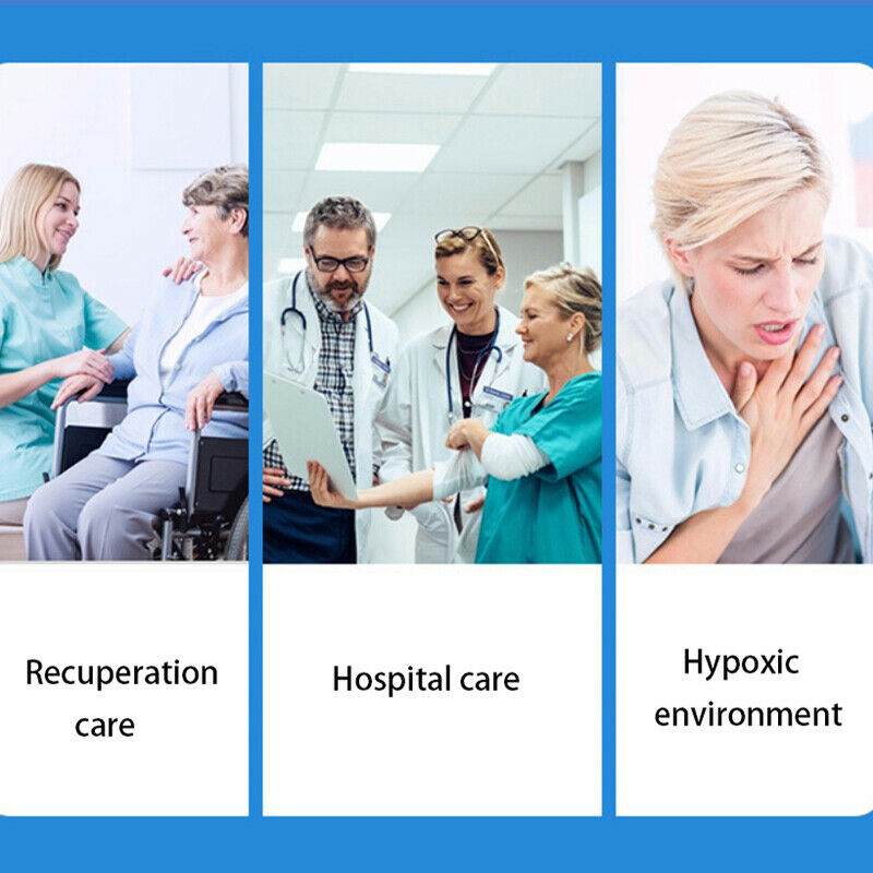 Pressure Oxygen Regulator Gauge Pressure Reducing Valve Flow Meter AbsorberS Hn