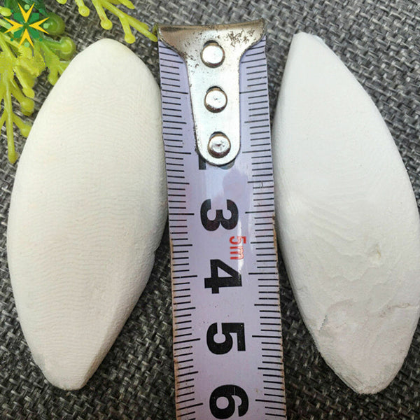 Cuttlefish Bone 7PCS