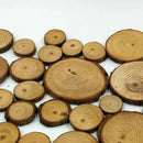 100x Slices Round Disc Tree Natural Pine Wood Chips Wood Bark Circle Decor Craft