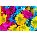 1000pcs DIY Paper Puzzle Colorful Daisy Jigsaw Educational Toys Room Decor