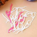 250 Pcs Dental Floss Picks Toothpicks Stick Oral Care Tooth Clean Tools (25