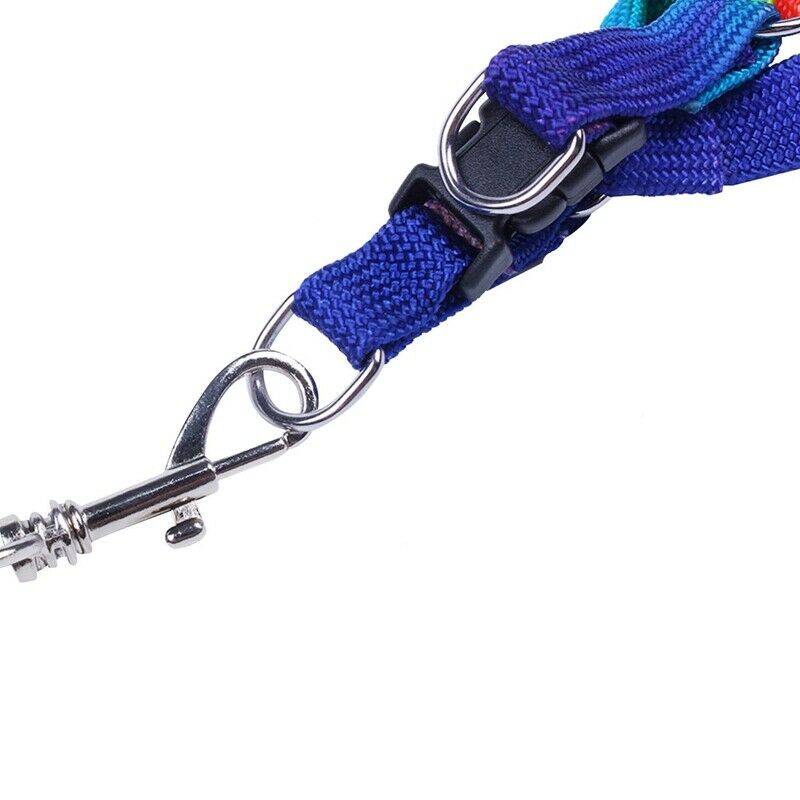 Adjustable Pet Dog Puppy Rainbow Harness Lead Leash Cat Rabbit Kitten Colla