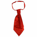 Men's Wedding Ruffle Neck Tie Necktie