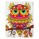 5D DIY Special Shaped Diamond Painting Colored Bird Cross Stitch Embroidery