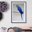 5D DIY Full Drill Diamond Painting Bird Embroidery Mosaic Craft Kits Decor