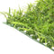 Simulation Decoration Turf Lawn Grass Moss Mat for Background Wall Decor 11#
