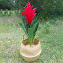 Basket Rattan Folding Wicker Handle Round Natural Sea Grass Plant Storage 3c