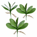 Artificial flower, leaves of Phalaenopsis (moth orchid), leaf / green (gree M3H7