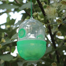 Harmless Fly Trap Wasp Catcher