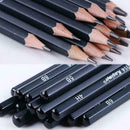 14Pcs Sketch Pencils Set Sketching Drawing Graphite Pencil Artists Art M3G6
